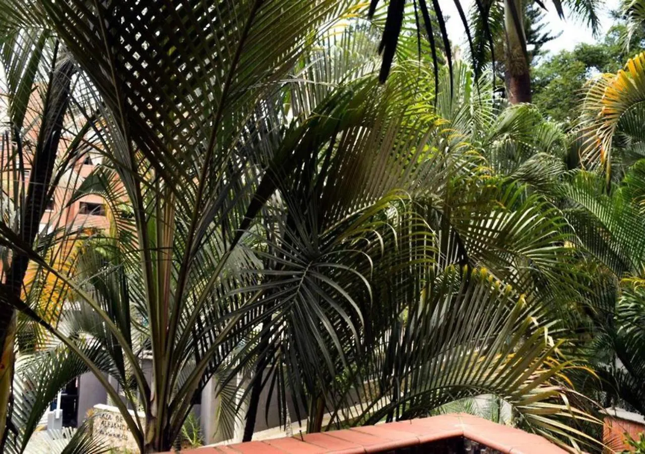 Amazing 3 Bedroom Apartment In El Poblado Medellín